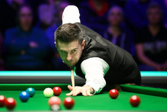 球迷与专家 球迷与专家